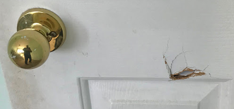interior door hole repair University of California Davis